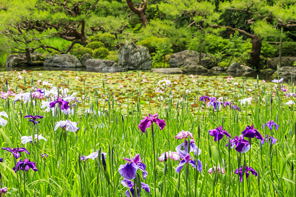 日本有数の庭園